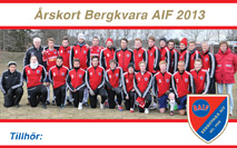 Baif årskort 2013