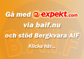 Bilder frn Nyhetssidan 2003-2009