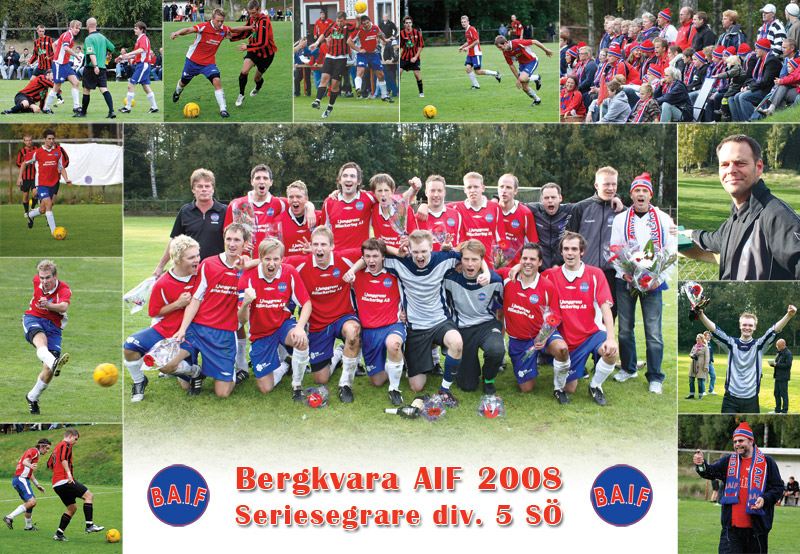 Lagfoto Bergkvara AIF 2008, seriesegrarna