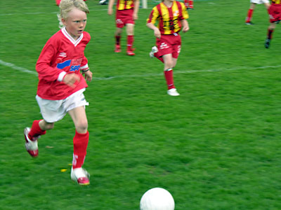Baif - Ljungbyholms GoIF P97